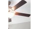 Close up of a ceiling fan at 5432 Rainwood Meadows Dr, Apollo Beach, FL 33572