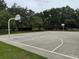 Outdoor basketball court with two hoops, set amongst beautiful mature trees at 5519 Reflections Blvd, Lutz, FL 33558