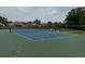 Well-maintained community tennis court offers residents recreational activities in a scenic neighborhood setting at 5519 Reflections Blvd, Lutz, FL 33558
