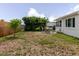 Spacious backyard featuring outdoor dining area, mature trees, and chain-link fence at 5840 Liddell Dr, New Port Richey, FL 34652