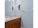 Bathroom featuring wooden cabinets, single sink, large mirror, and decorations at 6625 Interbay Blvd, Tampa, FL 33611
