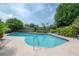 Sparkling swimming pool surrounded by lush landscaping and a wooden fence for privacy at 7902 Heather Ct, Tampa, FL 33634