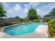 Inviting private pool surrounded by lush greenery, creating a serene and secluded backyard oasis at 7902 Heather Ct, Tampa, FL 33634
