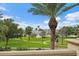 Picturesque view of the park, harbor, and marina from the outdoor patio with blue skies and puffy white clouds at 100 Beach Ne Dr # 301, St Petersburg, FL 33701