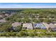 A high aerial view showing the lush tree coverage of the community at 10244 Shadow Branch Dr, Tampa, FL 33647