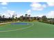 Outdoor basketball court on a sunny day with lush landscaping at 10244 Shadow Branch Dr, Tampa, FL 33647