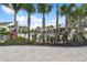 Community pool area surrounded by palm trees and lush landscaping, offering a resort-style experience for residents at 10244 Shadow Branch Dr, Tampa, FL 33647