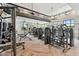 A modern gym with a full range of workout equipment and large windows at 10244 Shadow Branch Dr, Tampa, FL 33647