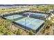 Aerial view of well-maintained pickleball courts surrounded by lush landscaping, offering residents an active lifestyle at 10244 Shadow Branch Dr, Tampa, FL 33647