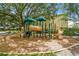 Community playground with slides and climbing structures under the shade of mature trees at 10244 Shadow Branch Dr, Tampa, FL 33647