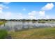 View of a pond surrounded by backyard homes and green grass at 10244 Shadow Branch Dr, Tampa, FL 33647
