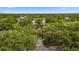 Aerial view of the home with mature trees at 10310 Carroll Cove Pl, Tampa, FL 33612
