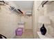 Walk-in closet with wire shelving, carpet flooring, and neutral decor at 106 N Saint George Cir, Apollo Beach, FL 33572