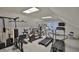 Bright exercise room filled with modern equipment, skylights, and carpeted floors at 1111 Golfview Woods Dr # 1111, Sun City Center, FL 33573