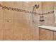 Shower featuring neutral-colored tiles, accent tile, and a convenient adjustable shower head at 15415 Mulholland Rd, Parrish, FL 34219