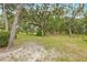 Large backyard featuring mature trees, an expansive lawn, and natural landscaping, creating a peaceful setting at 16608 Livingston Ave, Lutz, FL 33559