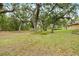Expansive backyard with mature trees providing shade and creating a serene outdoor environment at 16608 Livingston Ave, Lutz, FL 33559