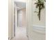 Light and airy hallway showcasing neutral decor, carpet and decorative sconce at 16608 Livingston Ave, Lutz, FL 33559