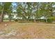 Peaceful park featuring lush greenery, benches, and a well-maintained landscape, ideal for relaxation and leisurely strolls at 16608 Livingston Ave, Lutz, FL 33559