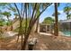 An exterior view of the backyard showing the caged pool area and bench at 1909 Dover Ct, Oldsmar, FL 34677