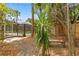 An exterior view of the backyard featuring a pool area and a peaceful outdoor bench at 1909 Dover Ct, Oldsmar, FL 34677