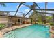 Enclosed pool area featuring an in-ground pool, patio, and view of lush greenery at 1909 Dover Ct, Oldsmar, FL 34677