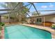 Enclosed pool area featuring an in-ground pool, patio, and view of lush greenery at 1909 Dover Ct, Oldsmar, FL 34677