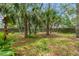 The expansive backyard features lush greenery and mature trees, providing a tranquil setting at 2418 Deltona Blvd, Spring Hill, FL 34606