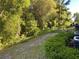 Lush backyard featuring mature trees and a creek, offering a private and serene outdoor space at 2822 Jacob Crossing Ln, Holiday, FL 34691
