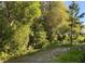 Backyard with lush greenery and ample space for relaxation and outdoor activities at 2822 Jacob Crossing Ln, Holiday, FL 34691