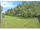 Large grassy backyard with mature trees and partial fencing for privacy at 30753 Pumpkin Ridge Dr, Wesley Chapel, FL 33543
