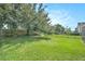 Expansive backyard with lush green grass, mature tree, and a black fence at 30753 Pumpkin Ridge Dr, Wesley Chapel, FL 33543
