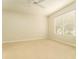 Bright bedroom with neutral carpet, a ceiling fan, and a large window with natural light at 3415 Heards Ferry Dr, Tampa, FL 33618