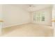 Bright bedroom with neutral carpet, a ceiling fan, and a large window with natural light at 3415 Heards Ferry Dr, Tampa, FL 33618