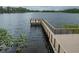 Lakeside Preserve dock on a lake with lily pads at 3415 Heards Ferry Dr, Tampa, FL 33618