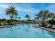 Relaxing community pool surrounded by palm trees and lounge chairs, perfect for enjoying the outdoors at 34234 Polacca Ln, Wesley Chapel, FL 33543