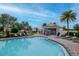 Community pool surrounded by palm trees, lounge chairs, and a covered picnic area for residents to enjoy at 34234 Polacca Ln, Wesley Chapel, FL 33543