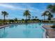 Resort-style community pool with palm trees, lounge chairs, and clear blue water for relaxation and enjoyment at 34234 Polacca Ln, Wesley Chapel, FL 33543