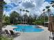 Resort-style pool featuring palm trees, sun loungers, and clear blue water for relaxing swims and gatherings at 3901 Silverlake Way, Wesley Chapel, FL 33544