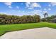 An expansive backyard with well-manicured lawn and privacy provided by mature landscaping at 630 Lake Cypress Cir, Oldsmar, FL 34677