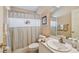 Bathroom featuring a vanity, sink, and a shower with a seashell-themed curtain at 630 Lake Cypress Cir, Oldsmar, FL 34677
