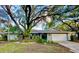 Charming single-story home with a lush lawn, mature trees, and a light gray exterior at 939 Woodland Dr, Palm Harbor, FL 34683