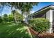 Landscaped backyard with a lush lawn, mature trees, and mulch beds for privacy and appeal at 9608 Greenpointe Dr, Tampa, FL 33626