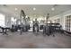 Well-equipped fitness center featuring weightlifting machines, free weights, and mirrors at 13758 Orange Sunset Dr # 202, Tampa, FL 33618