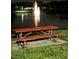 Outdoor picnic area featuring a wooden picnic table near the lake with a water fountain at 1408 Millstream Ln # 206, Dunedin, FL 34698