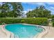 Inviting community pool surrounded by lush greenery, creating a peaceful and relaxing atmosphere at 1535 Nursery Rd # 110, Clearwater, FL 33756