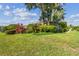 Lush green backyard featuring tropical landscaping at 16248 Ivy Lake Dr, Odessa, FL 33556
