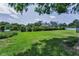 Large grassy backyard with ample space, mature trees, and a well-maintained hedge bordering the property at 1899 Oak Park S Dr, Clearwater, FL 33764