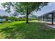 Spacious backyard with lush green grass, mature trees, and a screened-in pool enclosure, perfect for outdoor living at 1899 Oak Park S Dr, Clearwater, FL 33764