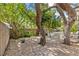 Backyard featuring trees, plants, a wooden fence and light colored stones covering the ground at 208 Live Oak Ln, Largo, FL 33770
